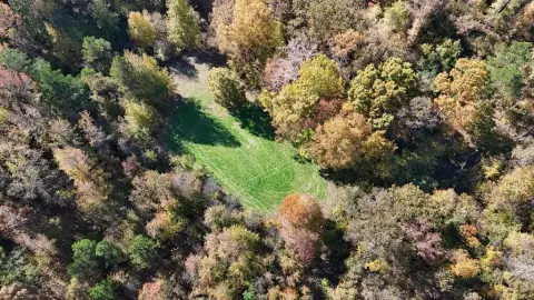 Hunting Land with Stocked Pond