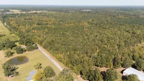 Wooded Hunting Land