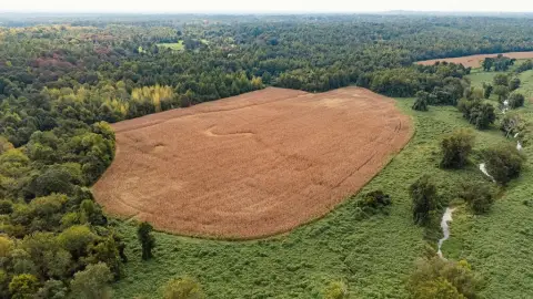 Large Hunting Land Tract