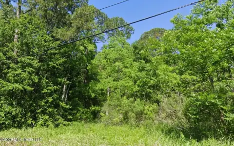Residential Lot in Ocean Springs