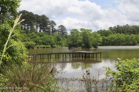 150 Acres on Vine Drive