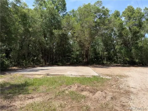 Homosassa Buildable Land Opportunity
