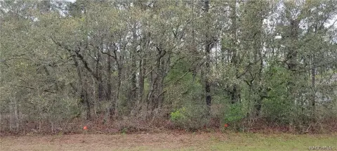 Residential Lot in Citrus Springs