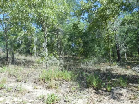 Inverness, FL Treed Corner Lot