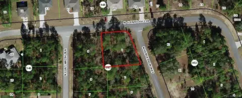 Oversized Corner Lot in Citrus Springs