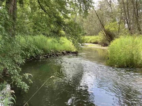 Waterfront Land with Creek Frontage