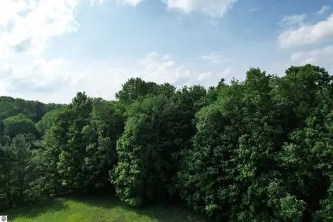Wooded Hunting Acreage