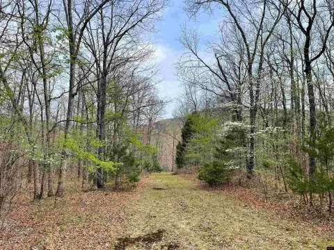 Ozark Hunting and Recreation Land