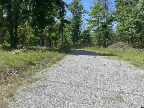 Wooded Acreage Near Lake Norfork