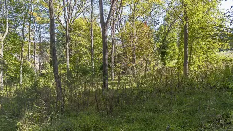 Residential Lot Near Lexington Center