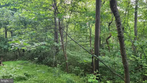 Wooded Residential Lot