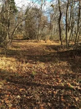 Recreational & Home Site Acreage