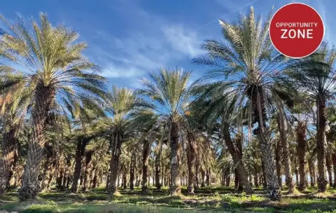 Thermal CA Land For Sale