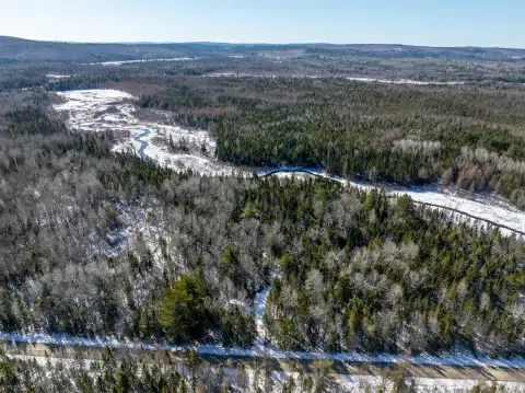 Wooded Residential Land Parcel