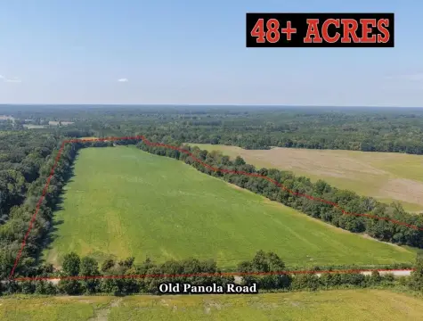 Farm Land with Hunting Cover