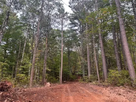 Wooded Lots in Hayward, WI