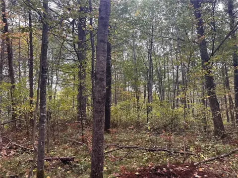 Wooded Lots in Hayward, Wisconsin