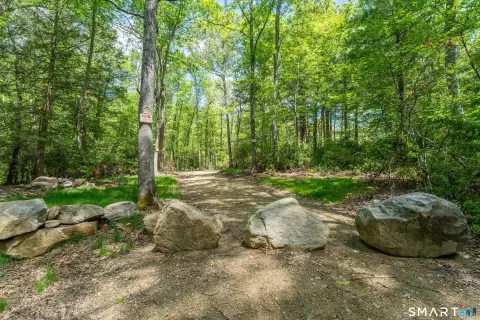 100-Acre Woodstock Land Parcel