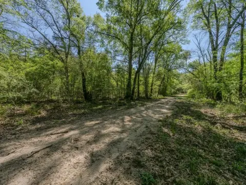 Greenville Land Tract For Sale
