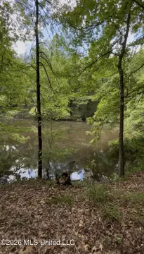 Land with Pond in Hernando
