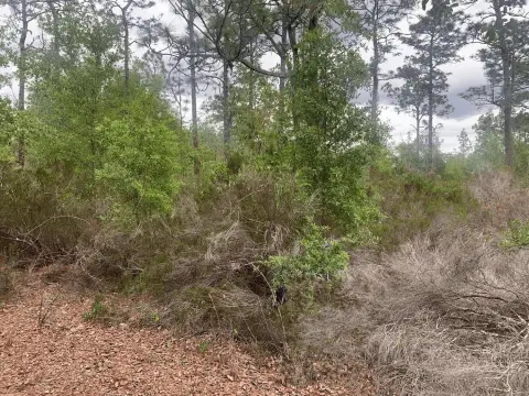 Interlachen, FL Buildable Lot