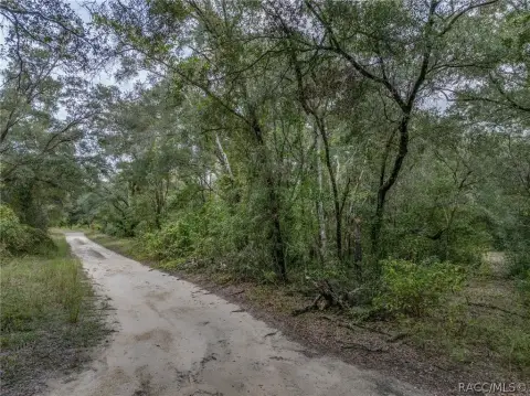 Residential Land in Inverness, FL