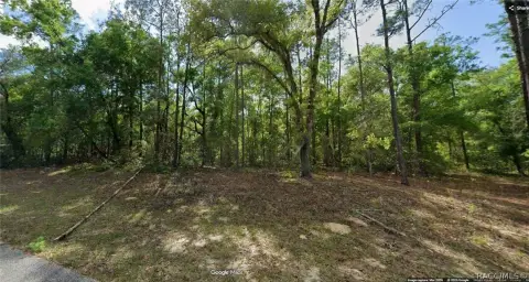 Buildable Residential Lot Near Springs