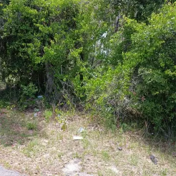 Inverness Land Near Whispering Pines