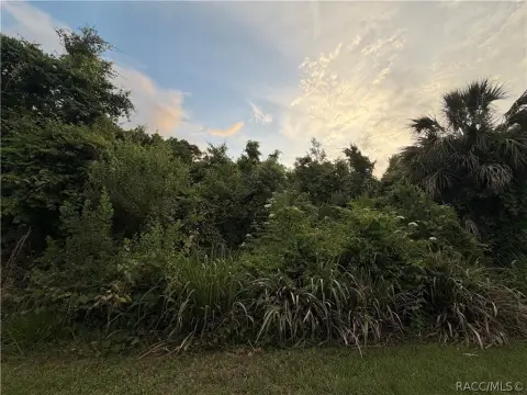 Crystal River Homesite Opportunity