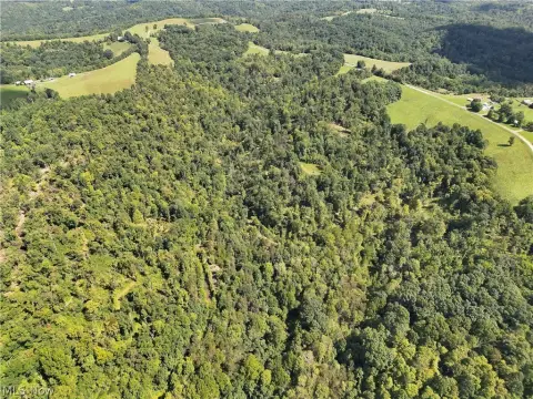 Hunting Land with Improvements