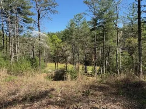 Murphy, NC Wooded Lot