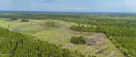 200 Acres Recreational Timberland Tract