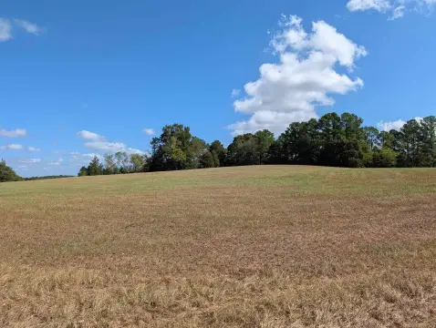 Fenced Agricultural Land