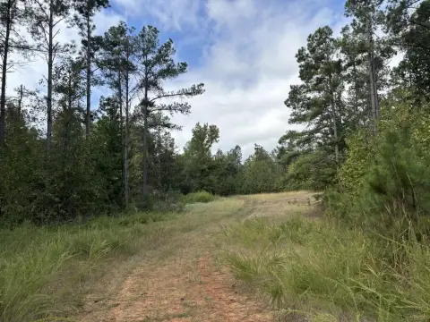 Hunting Land with Timber