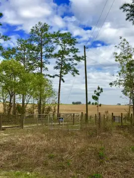 Flag Lot Agricultural Land Parcel