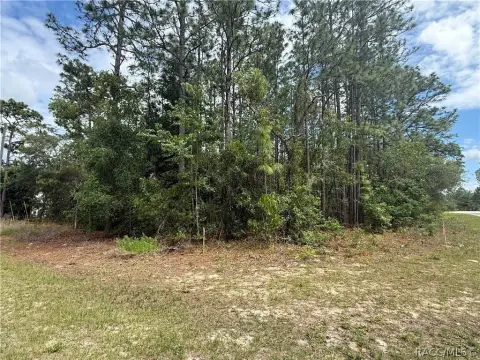 Citrus Springs Corner Lot