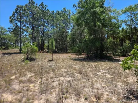 One Acre Homesite Near Lake