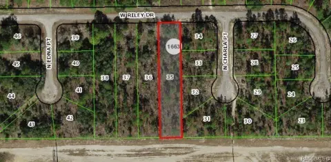 Citrus Springs Homesite Opportunity