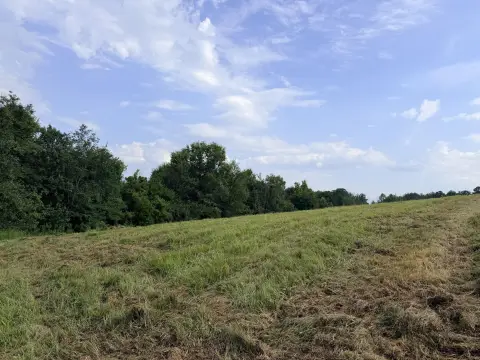 Commercial Land with Building