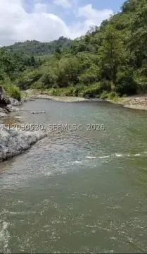Estate Land with Private Stream