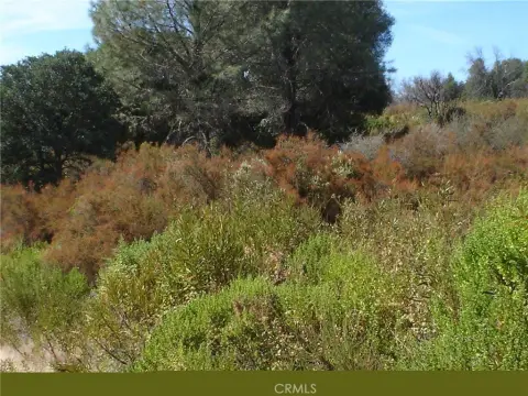 Residential Land in Clearlake, CA