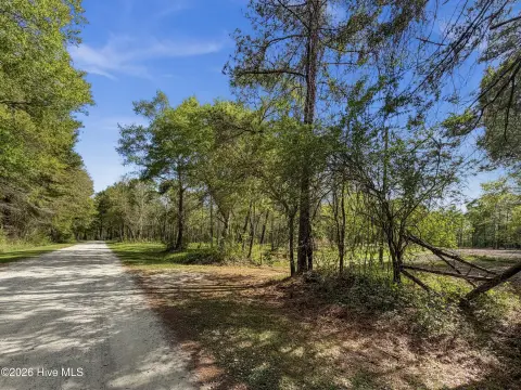 Waterfront Land in Duplin County