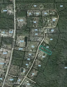 Hortense, GA Wooded Land Parcel