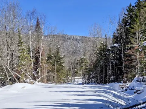 Maine Wilderness 77-Acre Parcel