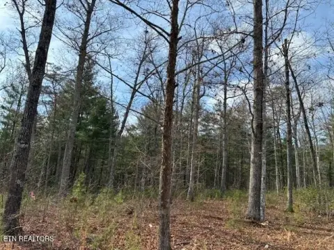 Sevierville Homesite in Gated Community