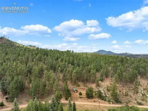 Treed Residential Building Parcel