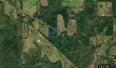 Timber Tract with Country Privacy