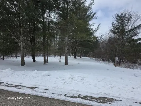 Vacant Land in Sugar Springs