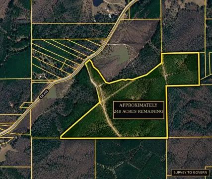240-Acre Hunting Land
