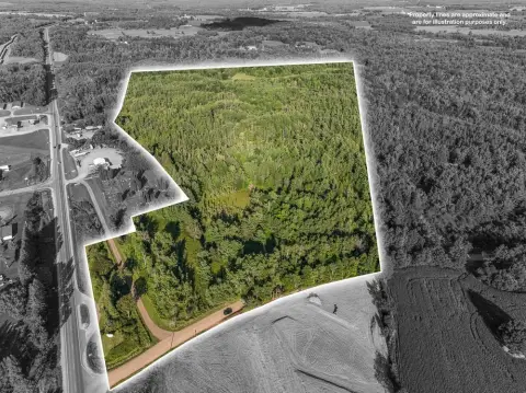 Wooded Acres in Rusk County